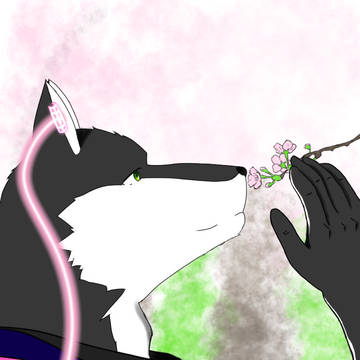 狼音アロ 桜