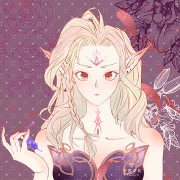 精灵战士的公主👸