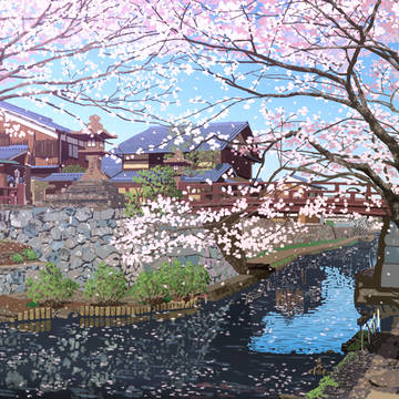 桜の白雲橋/八幡堀(近江八幡)