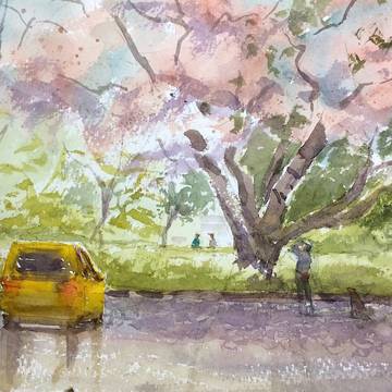 桜スケッチ
