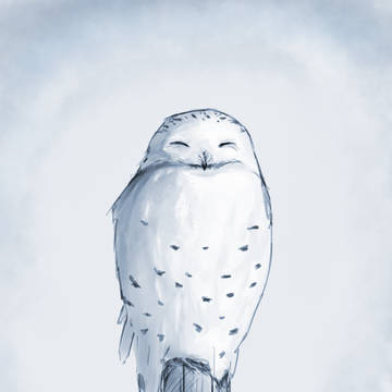 Snowy owl