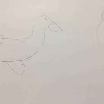 Bird doodle