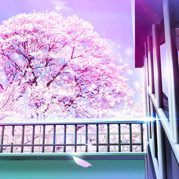 桜の木