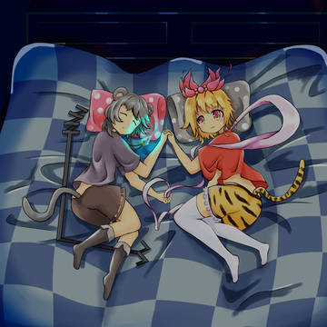 ナズーリンは寝ちゃったようです