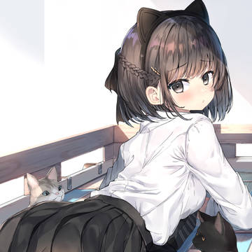 🐈🐈🐈🌸
