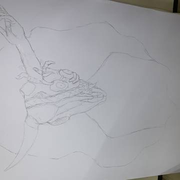 瘡蓋