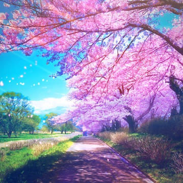 桜花爛漫