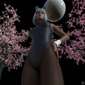 再投稿・夜桜とウサギ