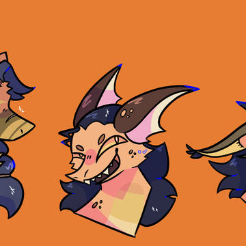 dergs