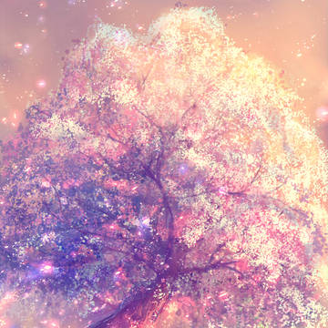桜花の記憶
