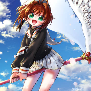Fly