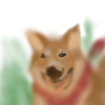 犬