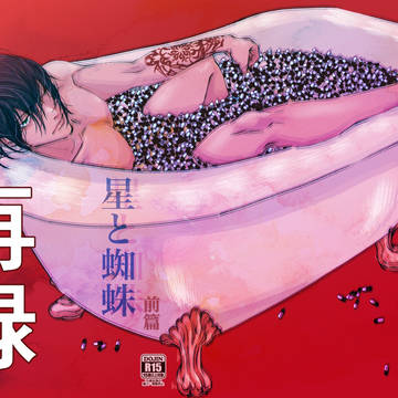 『星と蜘蛛』前篇 再録(銀高)
