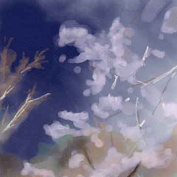 夜桜