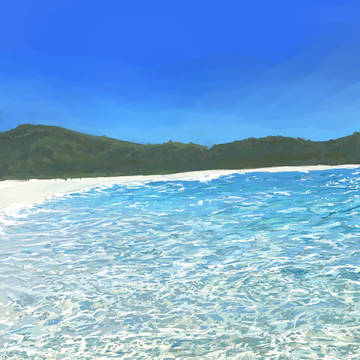 海