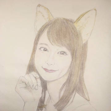 どんぎつね