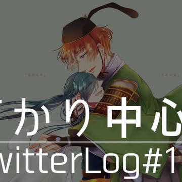石かり中心ログ1