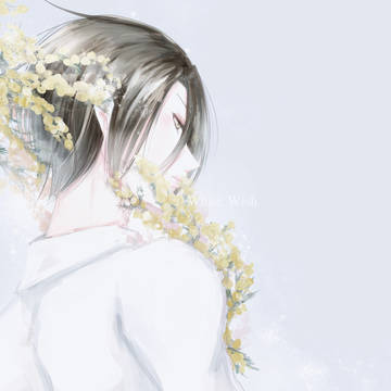 ミモザ