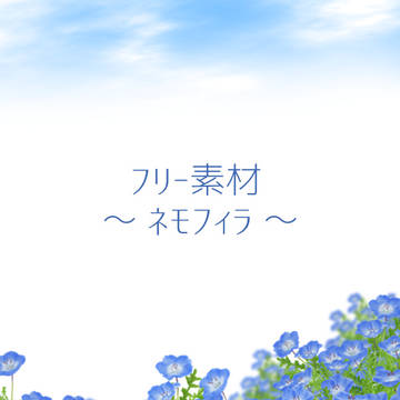 【フリー素材】ネモフィラ