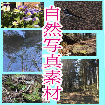 写真素材【自然の風景】