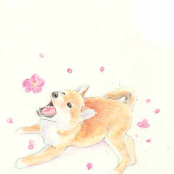 桜と子犬