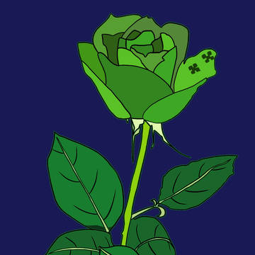 緑の薔薇