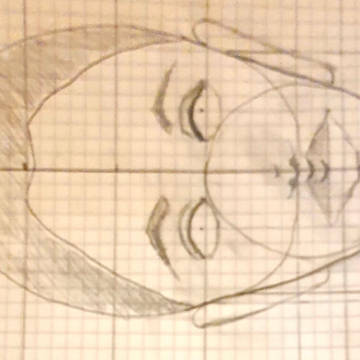 My dirst try