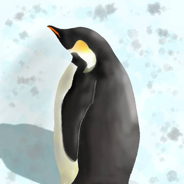 ペンギン