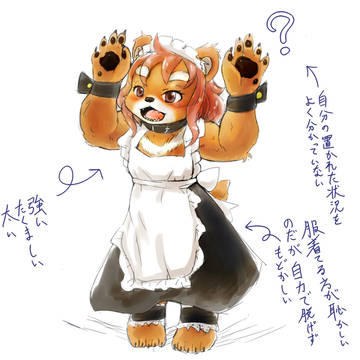 🐻ガチで無知