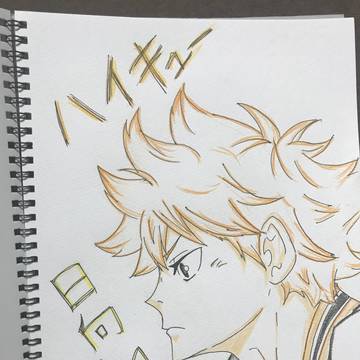 ハイキュー 日向翔陽
