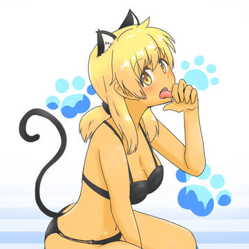 ねこ宮子
