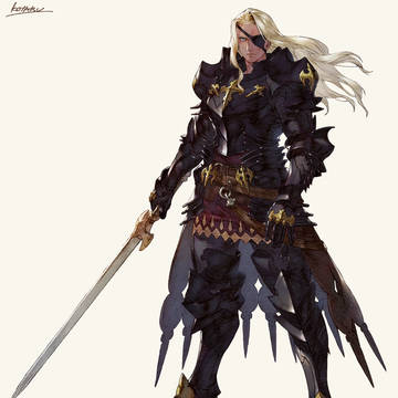 騎士修正