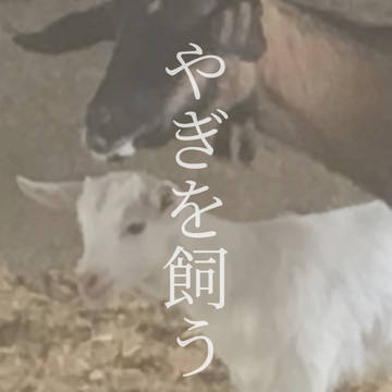 【エア新刊】牧場エルリ