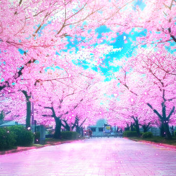 希望の在処
