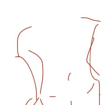 体