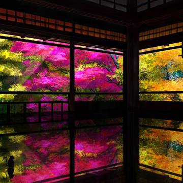 妄想光院