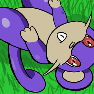 Rattata