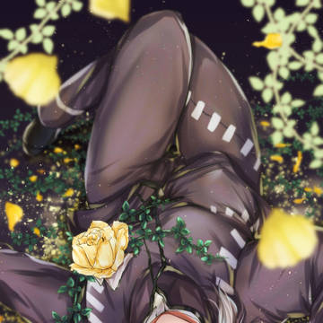 黄薔薇