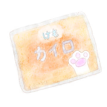 けもカイロ