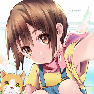 Hikari 2020
