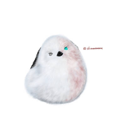 しょうとエナガ