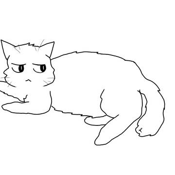 私の猫 （多分）