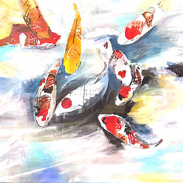 鯉魚