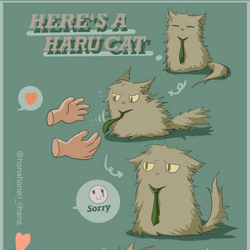 富豪猫猫（3）