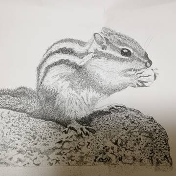 リス