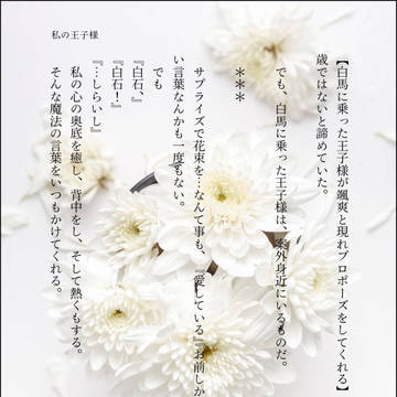 私の王子様は