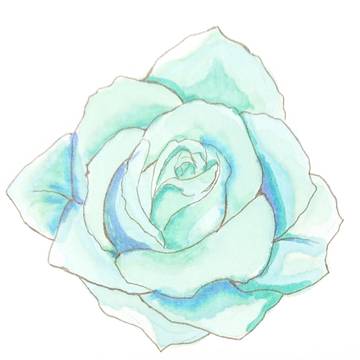 薔薇の花