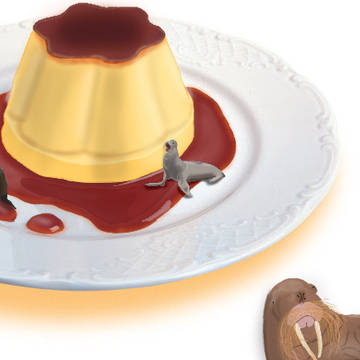プリンの国　