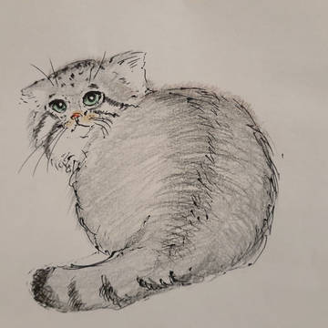 見返りマヌル