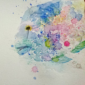 アジサイ
